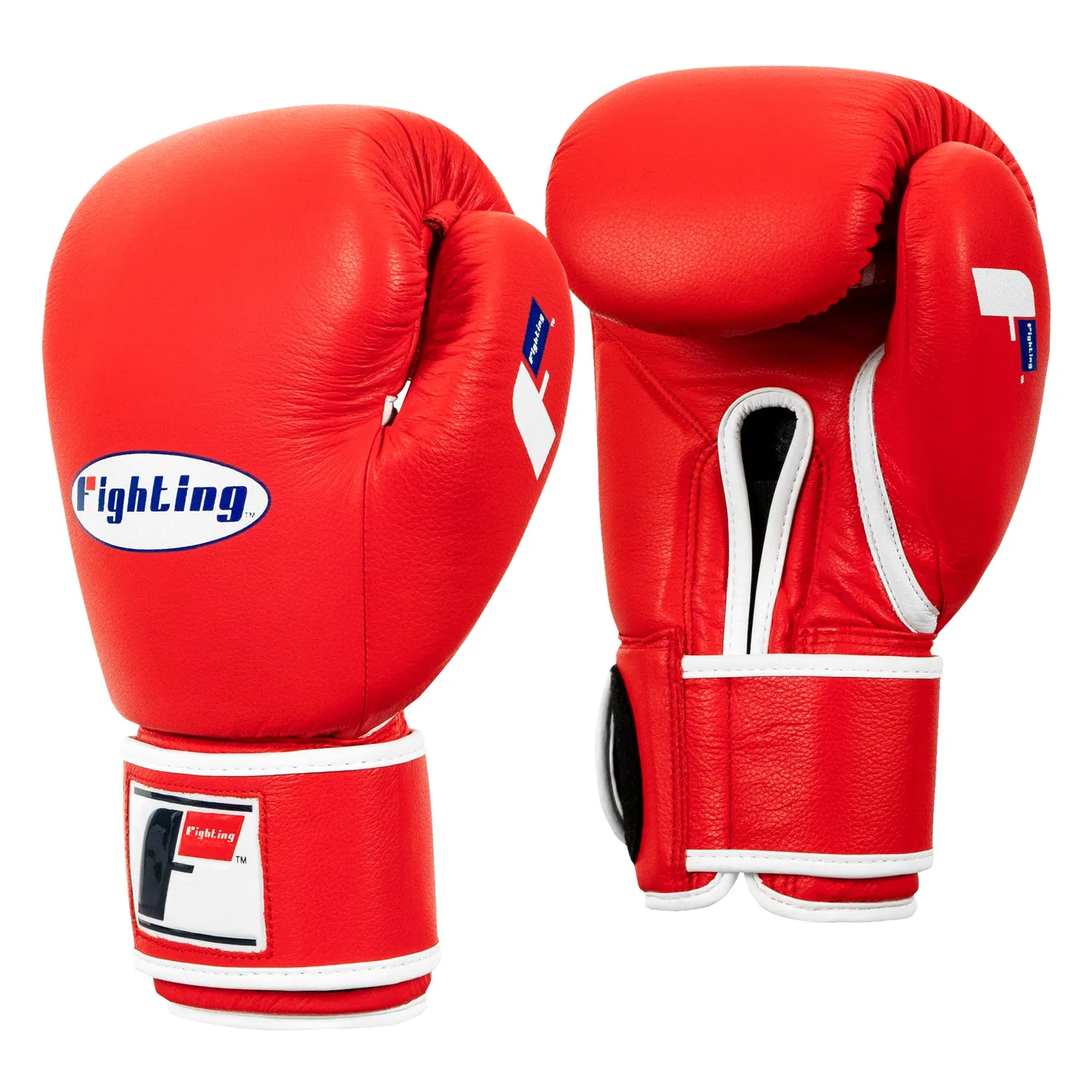 Fighting Fury Professional Training Gloves