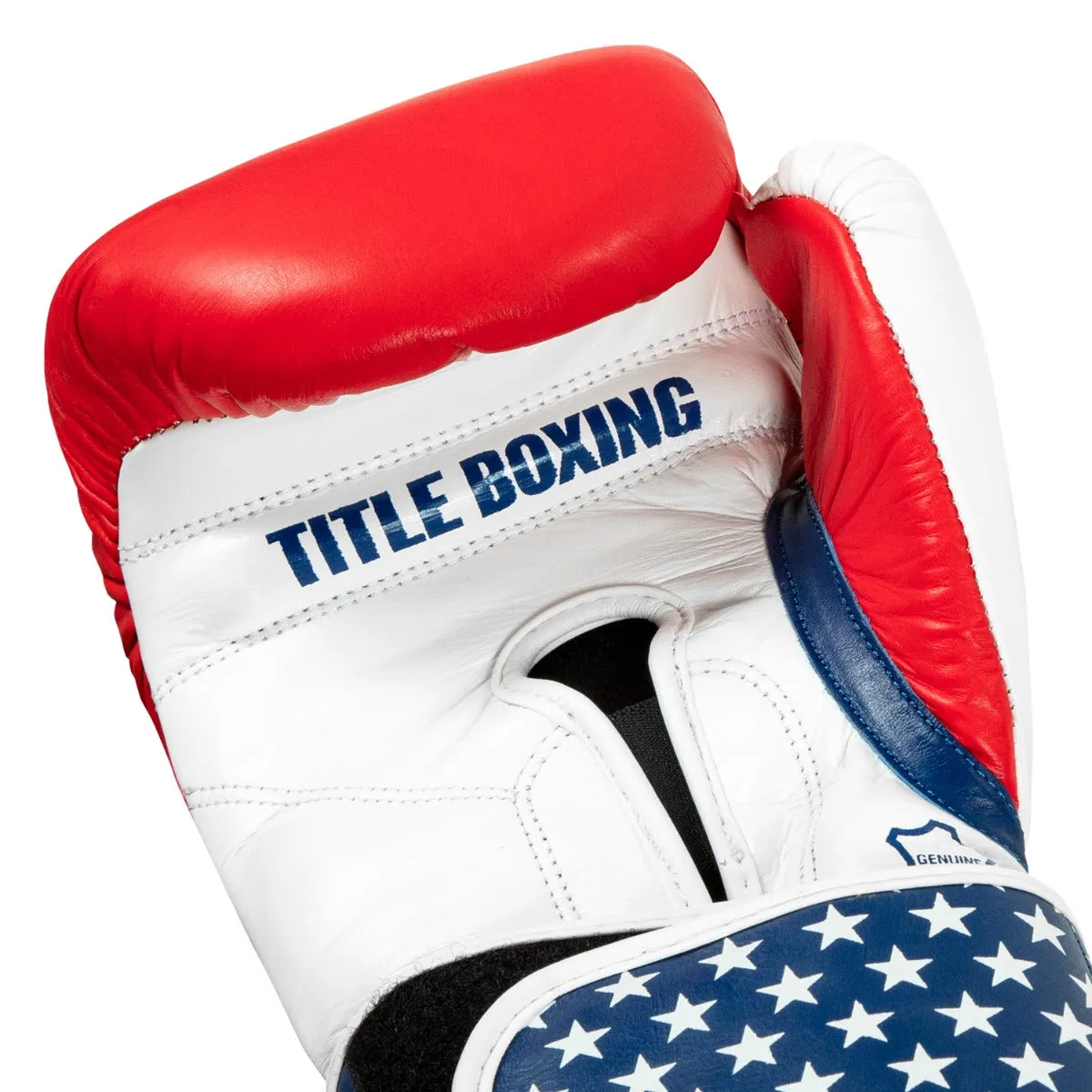 TITLE Boxing USA Leather Bag Gloves